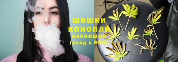 мдпв Краснослободск