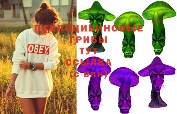 прущая мука Кукмор