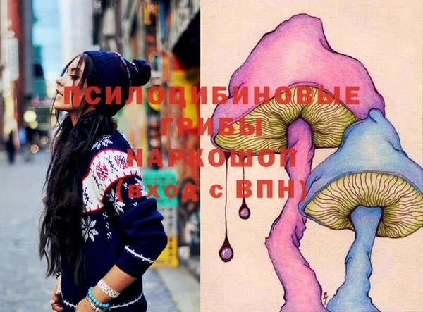 мдпв Краснослободск