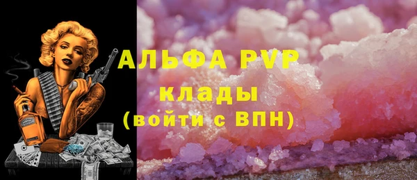 мдпв Краснослободск